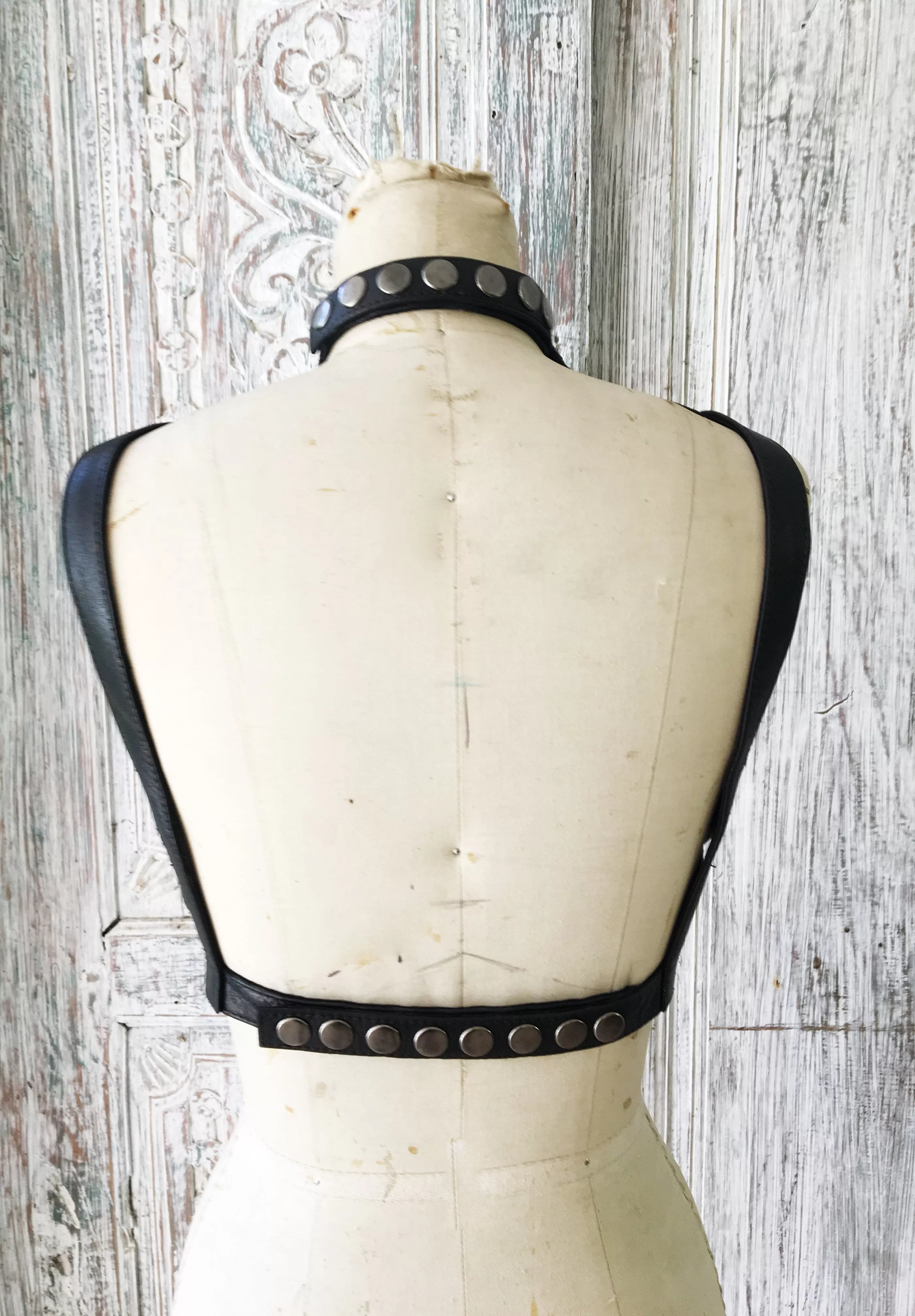 Atomica Harness