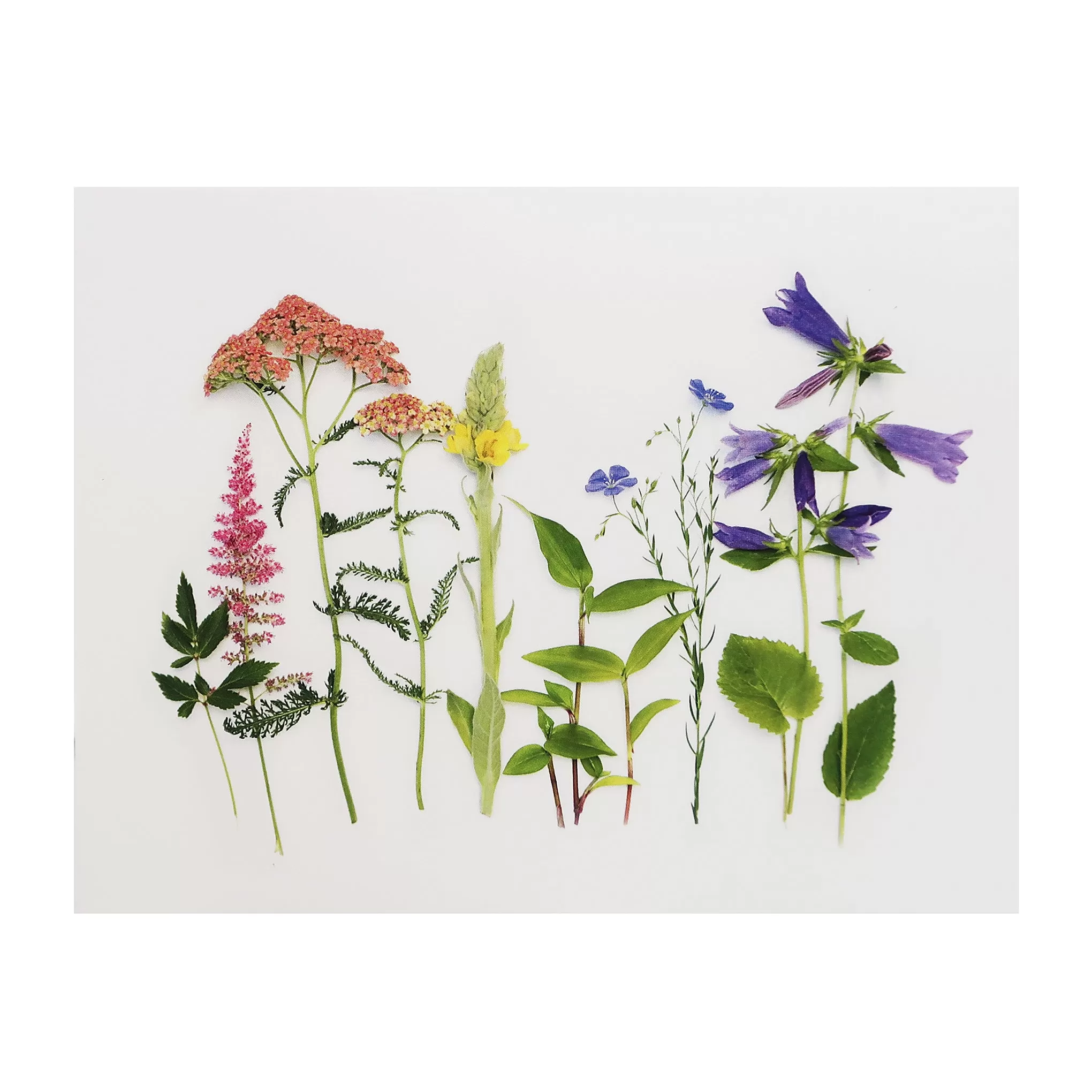 Blank Folding Greeting Card in Multicolor Wildflowers and Greenery