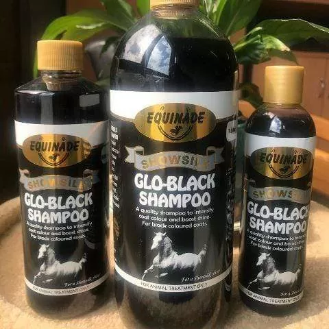 Glo Black Shampoo