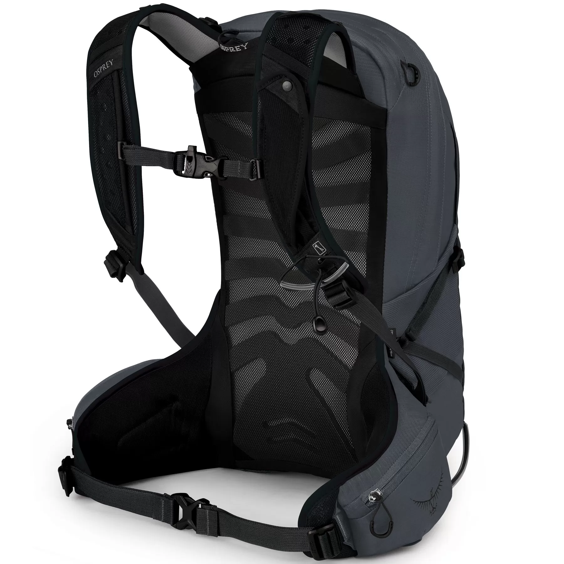 Talon 11L Daypack