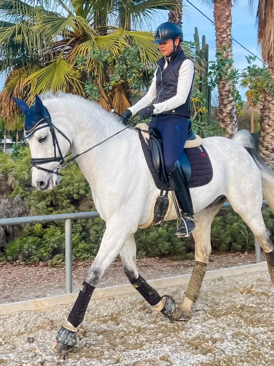 The Wren Breech Full Seat in Navy