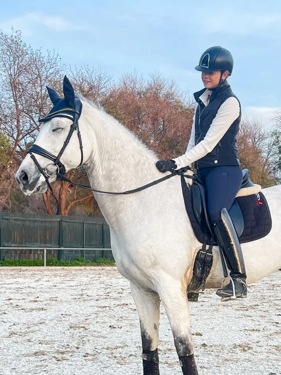 The Wren Breech Full Seat in Navy